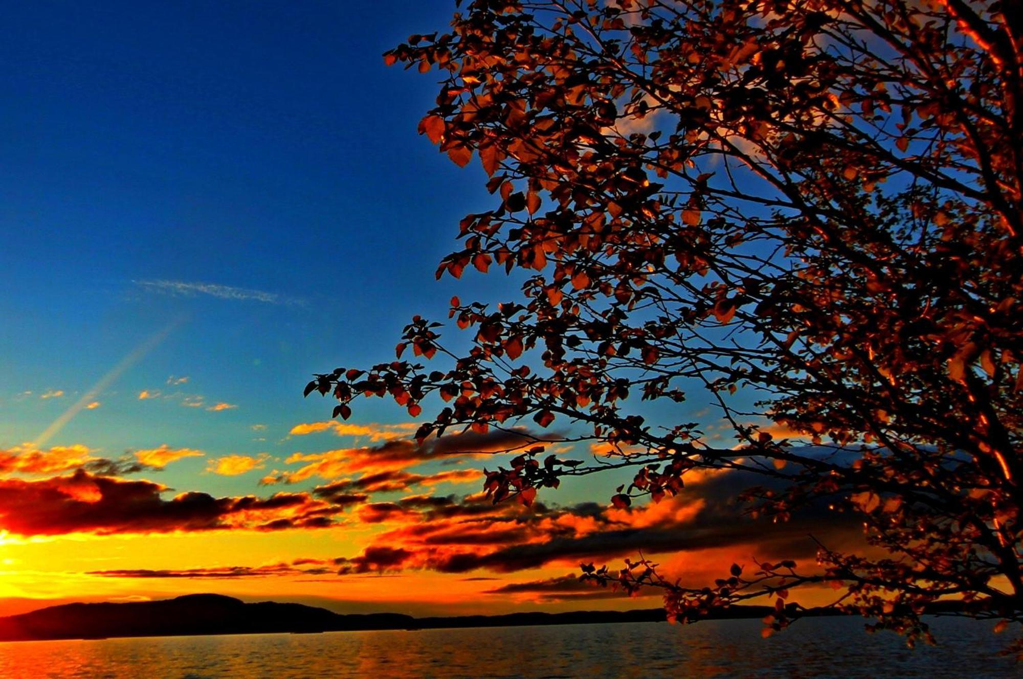 Ukonjaerven Holiday Village Ivalo Ruang foto