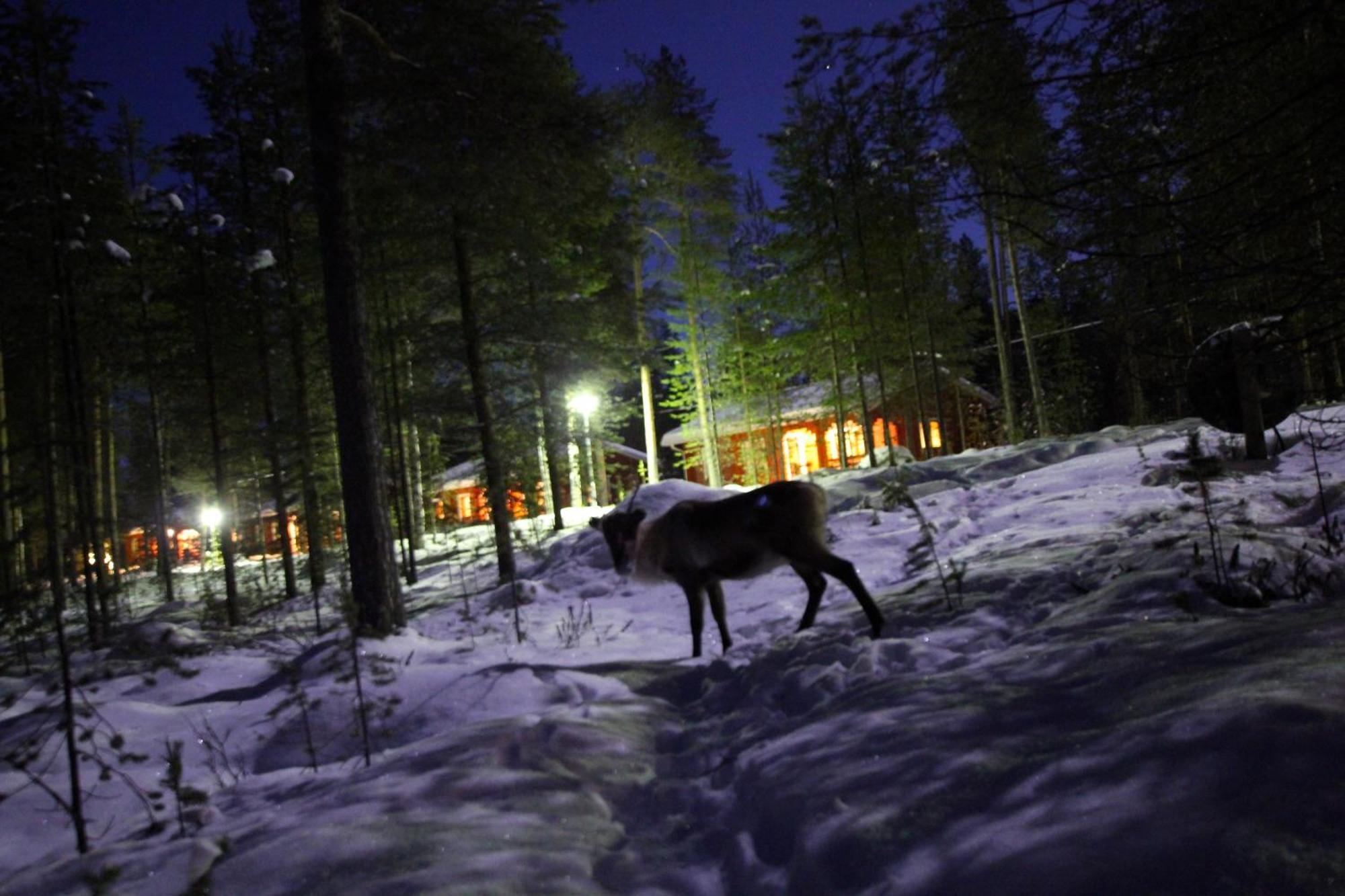 Ukonjaerven Holiday Village Ivalo Bagian luar foto