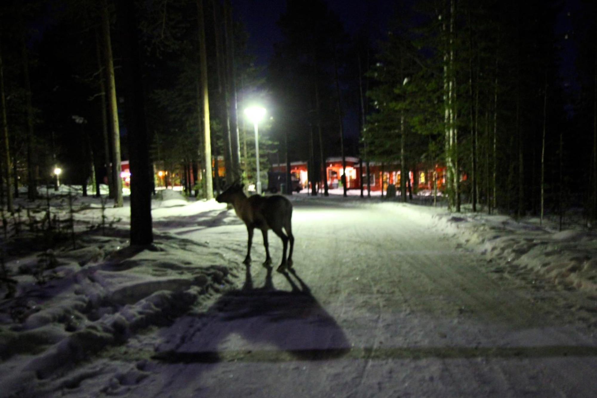 Ukonjaerven Holiday Village Ivalo Bagian luar foto