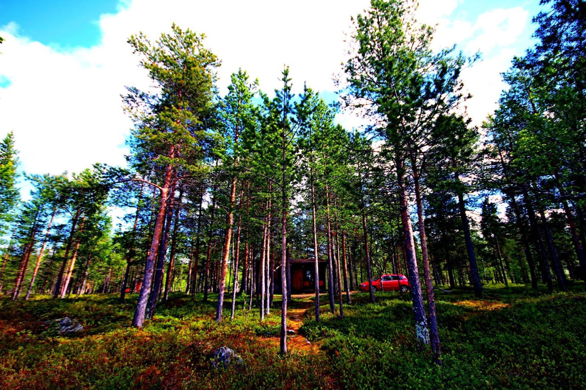 Ukonjaerven Holiday Village Ivalo Ruang foto