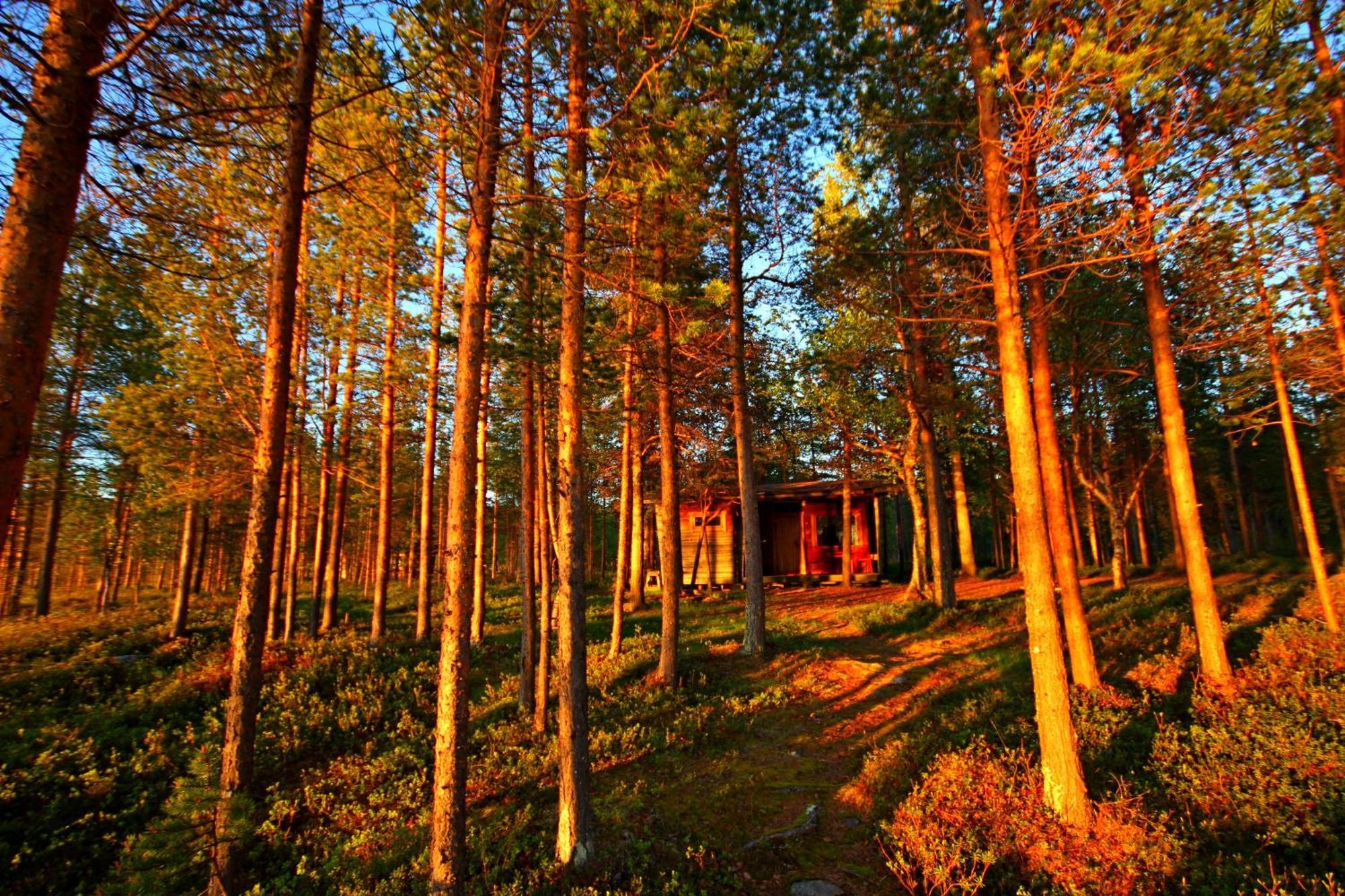 Ukonjaerven Holiday Village Ivalo Ruang foto