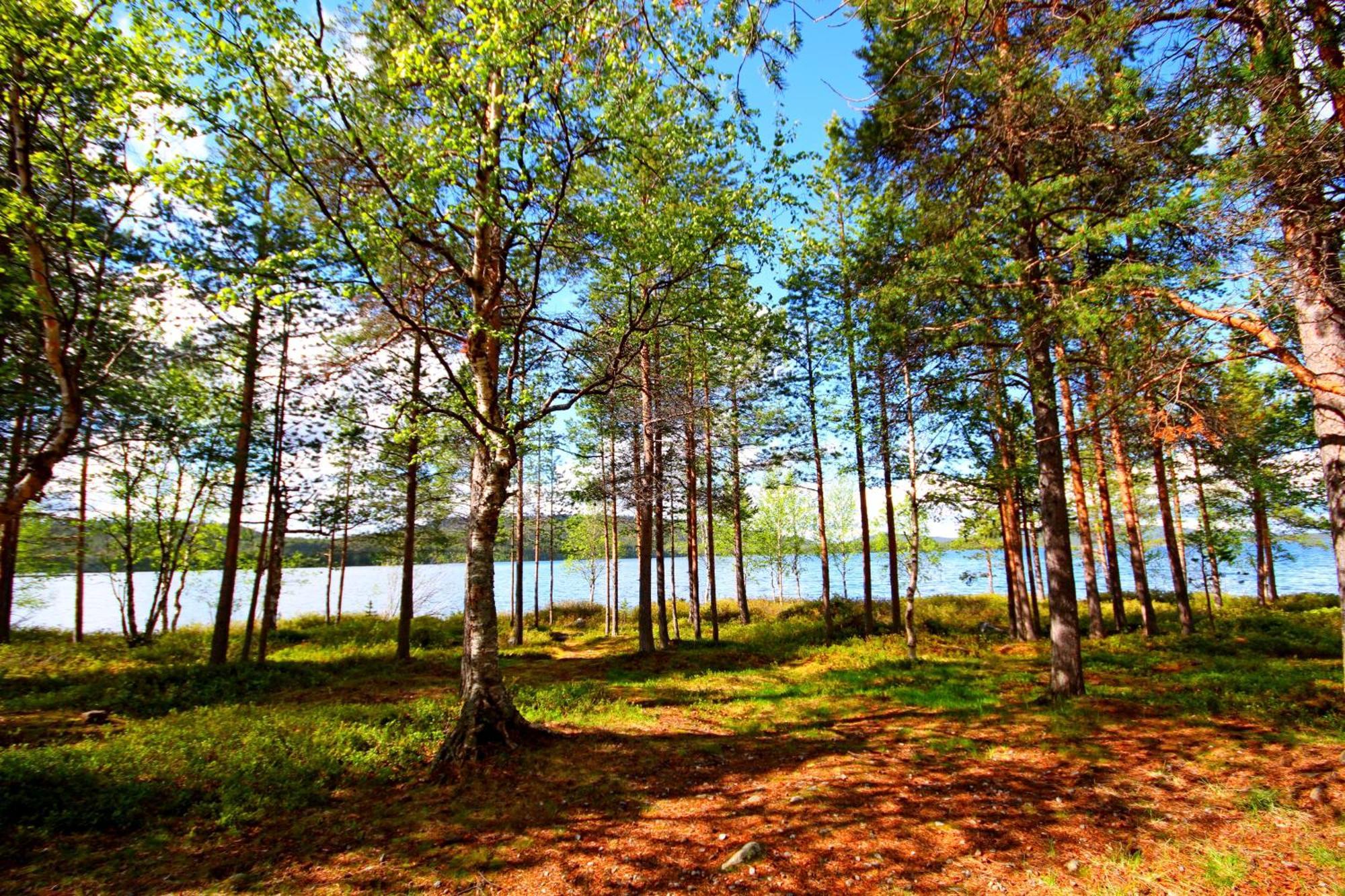 Ukonjaerven Holiday Village Ivalo Ruang foto